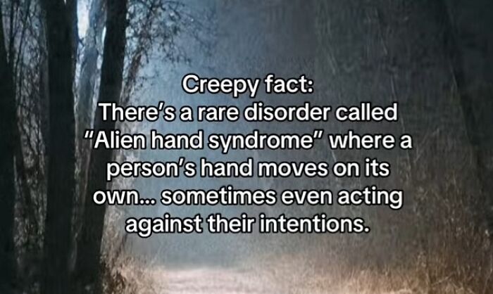54 Scary Facts And Creepy Stories To See You Through Another Sleepless Night 54 Scary Facts And Creepy Stories To See You Through Another Sleepless Night
