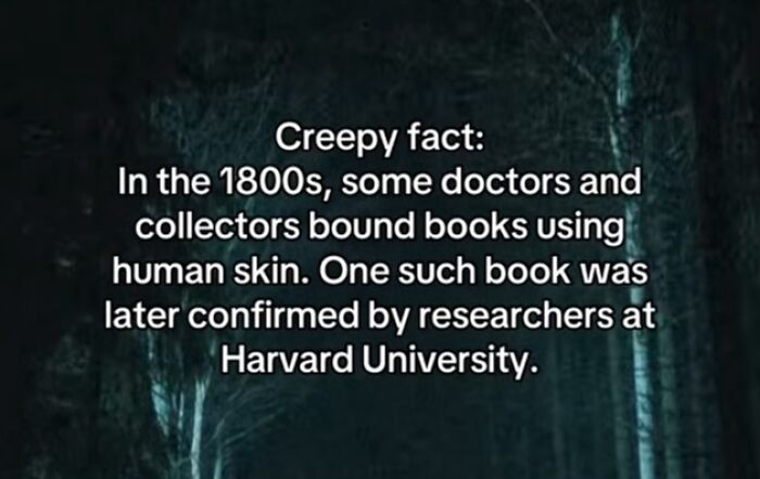 54 Scary Facts And Creepy Stories To See You Through Another Sleepless Night 54 Scary Facts And Creepy Stories To See You Through Another Sleepless Night