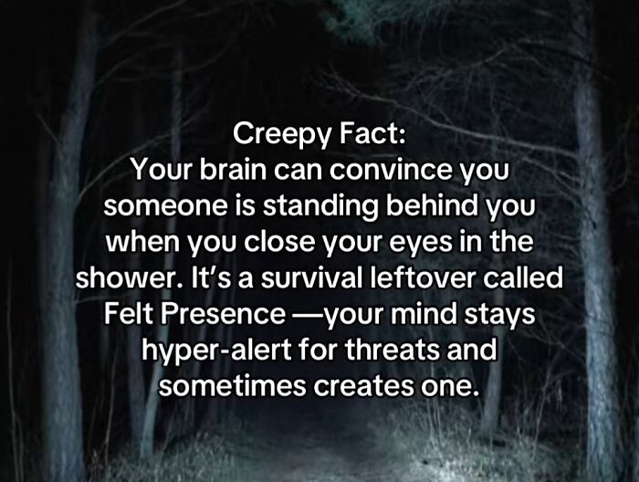 54 Scary Facts And Creepy Stories To See You Through Another Sleepless Night 54 Scary Facts And Creepy Stories To See You Through Another Sleepless Night