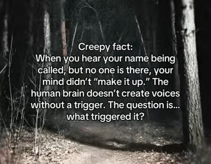 54 Scary Facts And Creepy Stories To See You Through Another Sleepless Night 54 Scary Facts And Creepy Stories To See You Through Another Sleepless Night
