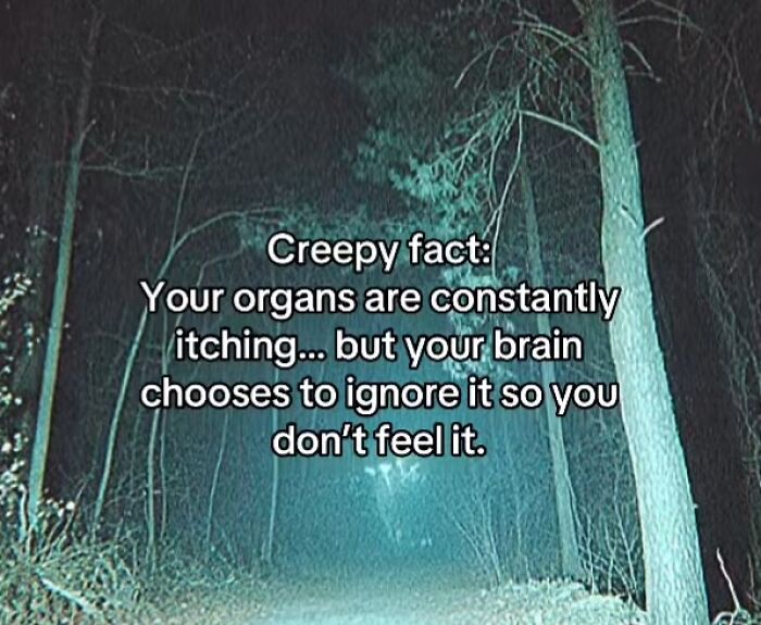 54 Scary Facts And Creepy Stories To See You Through Another Sleepless Night 54 Scary Facts And Creepy Stories To See You Through Another Sleepless Night