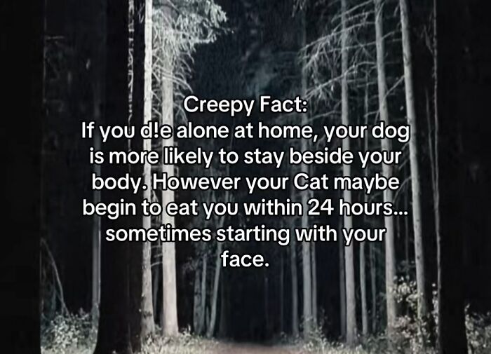 54 Scary Facts And Creepy Stories To See You Through Another Sleepless Night 54 Scary Facts And Creepy Stories To See You Through Another Sleepless Night