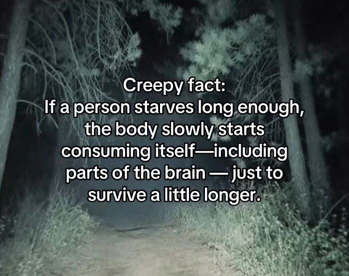 54 Scary Facts And Creepy Stories To See You Through Another Sleepless Night 54 Scary Facts And Creepy Stories To See You Through Another Sleepless Night