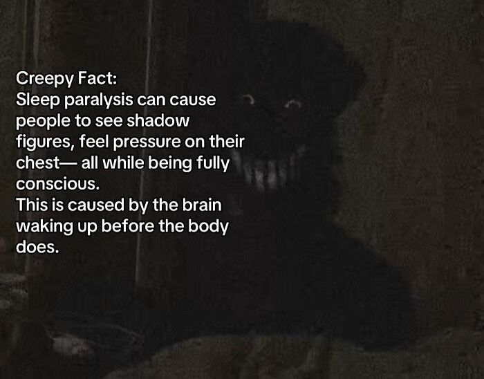 54 Scary Facts And Creepy Stories To See You Through Another Sleepless Night 54 Scary Facts And Creepy Stories To See You Through Another Sleepless Night