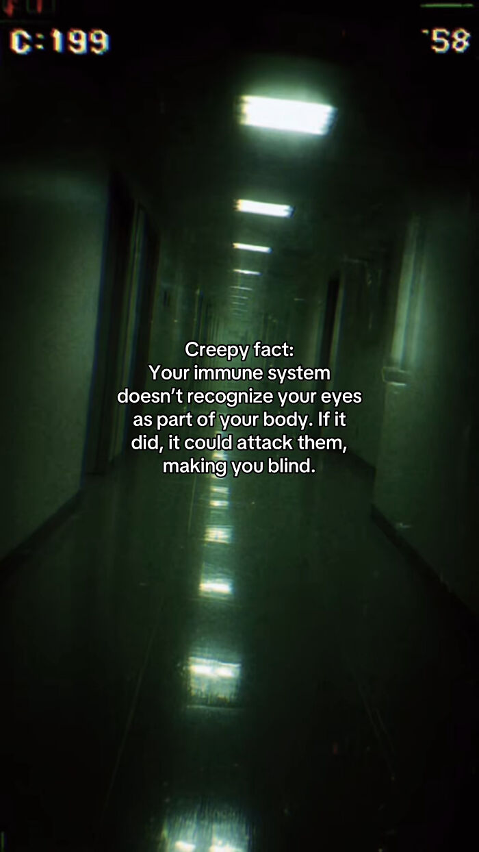 54 Scary Facts And Creepy Stories To See You Through Another Sleepless Night 54 Scary Facts And Creepy Stories To See You Through Another Sleepless Night