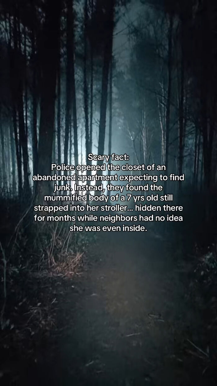 54 Scary Facts And Creepy Stories To See You Through Another Sleepless Night 54 Scary Facts And Creepy Stories To See You Through Another Sleepless Night