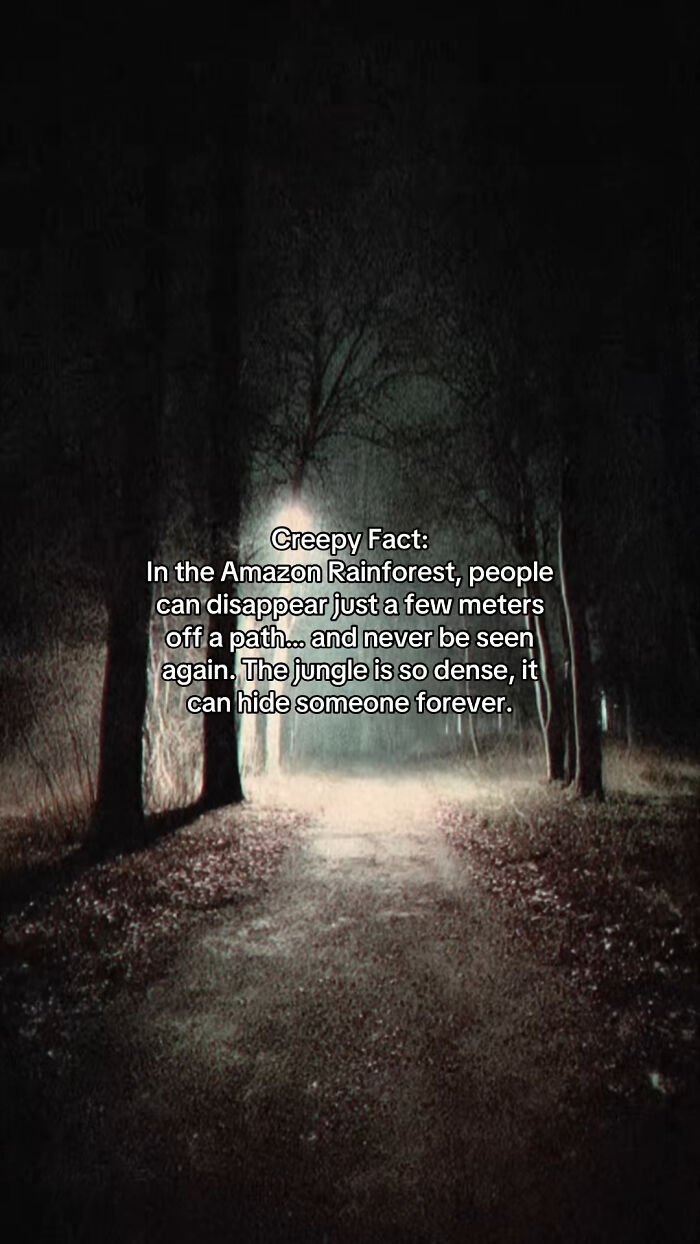 54 Scary Facts And Creepy Stories To See You Through Another Sleepless Night 54 Scary Facts And Creepy Stories To See You Through Another Sleepless Night