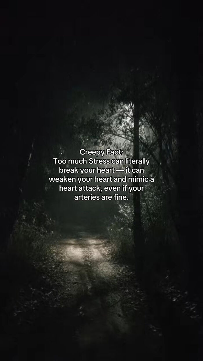 54 Scary Facts And Creepy Stories To See You Through Another Sleepless Night 54 Scary Facts And Creepy Stories To See You Through Another Sleepless Night