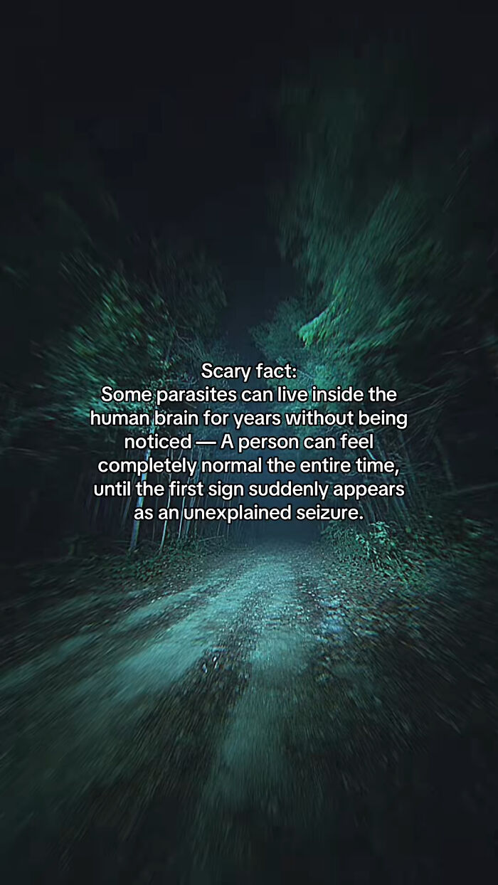 54 Scary Facts And Creepy Stories To See You Through Another Sleepless Night 54 Scary Facts And Creepy Stories To See You Through Another Sleepless Night