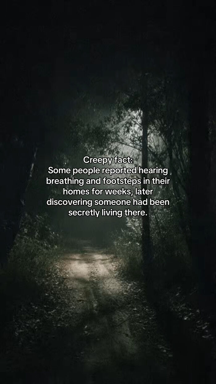 54 Scary Facts And Creepy Stories To See You Through Another Sleepless Night 54 Scary Facts And Creepy Stories To See You Through Another Sleepless Night