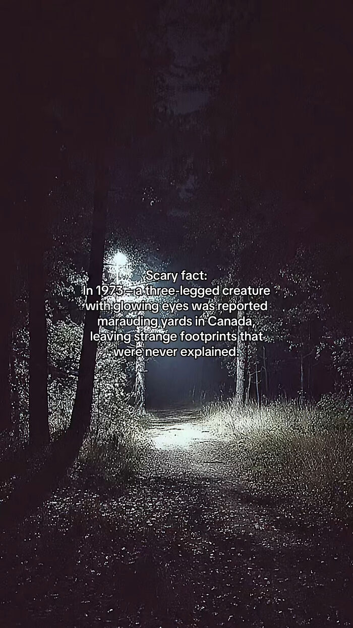 54 Scary Facts And Creepy Stories To See You Through Another Sleepless Night 54 Scary Facts And Creepy Stories To See You Through Another Sleepless Night