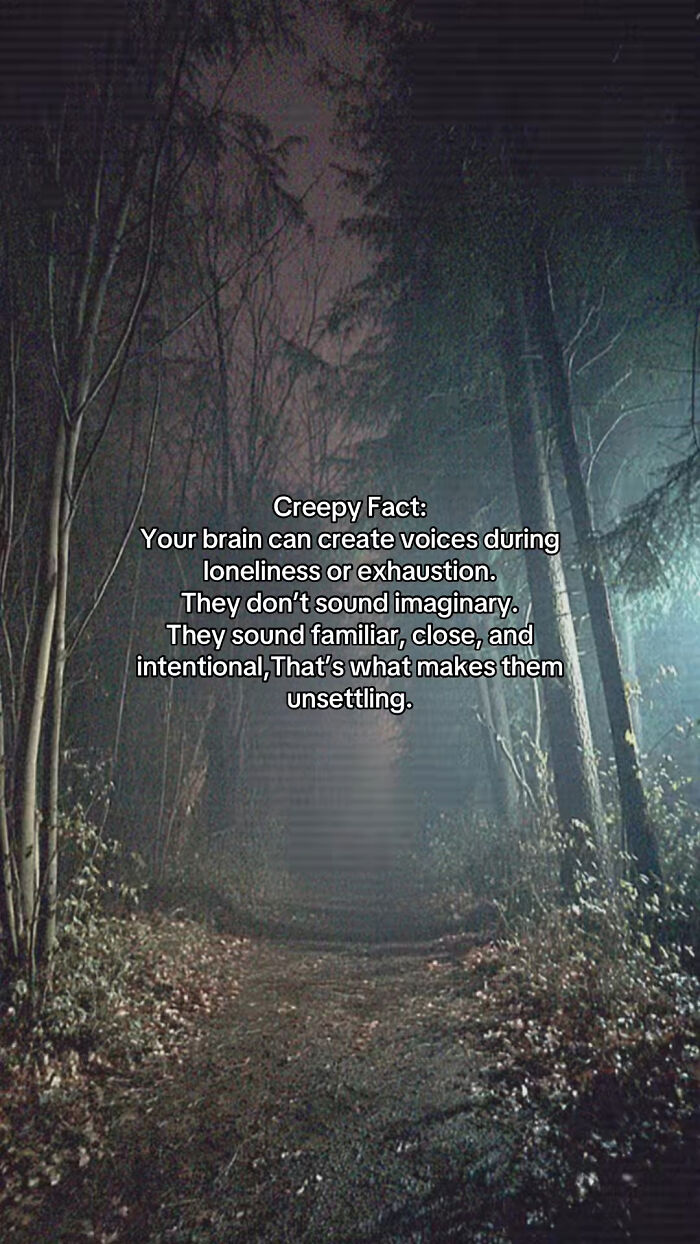 54 Scary Facts And Creepy Stories To See You Through Another Sleepless Night 54 Scary Facts And Creepy Stories To See You Through Another Sleepless Night