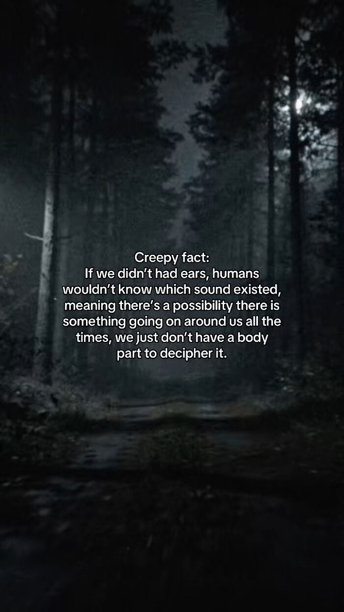 54 Scary Facts And Creepy Stories To See You Through Another Sleepless Night 54 Scary Facts And Creepy Stories To See You Through Another Sleepless Night