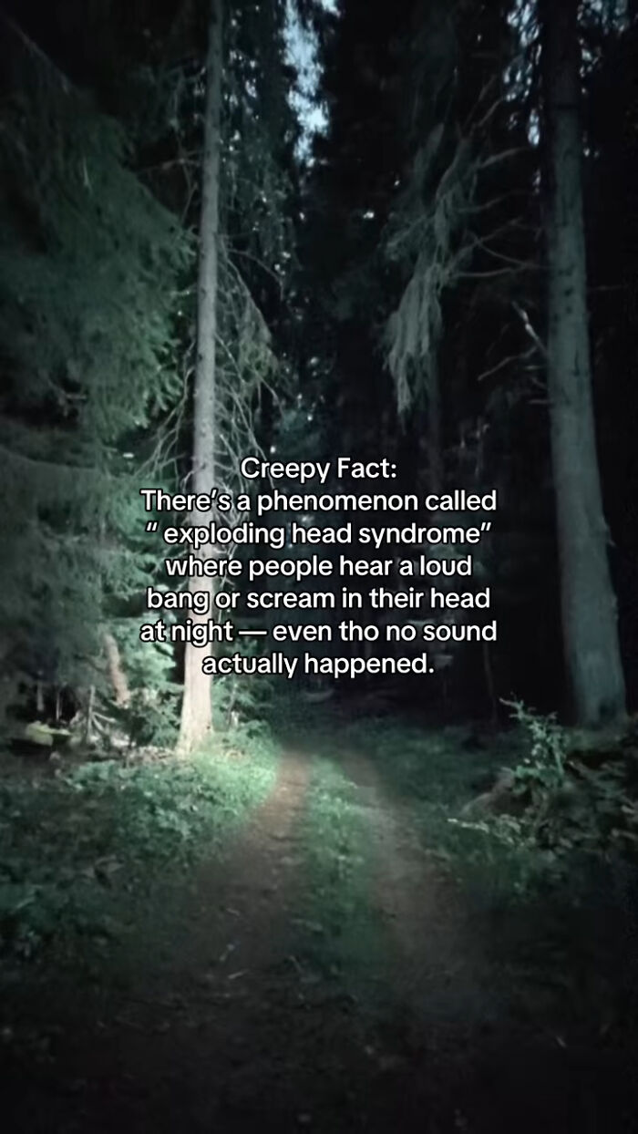 54 Scary Facts And Creepy Stories To See You Through Another Sleepless Night 54 Scary Facts And Creepy Stories To See You Through Another Sleepless Night