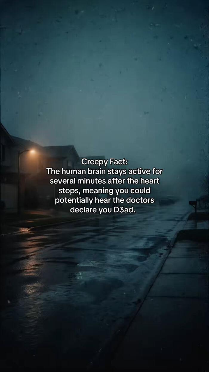 54 Scary Facts And Creepy Stories To See You Through Another Sleepless Night 54 Scary Facts And Creepy Stories To See You Through Another Sleepless Night