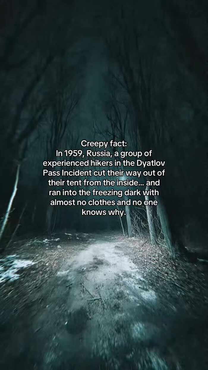 54 Scary Facts And Creepy Stories To See You Through Another Sleepless Night 54 Scary Facts And Creepy Stories To See You Through Another Sleepless Night
