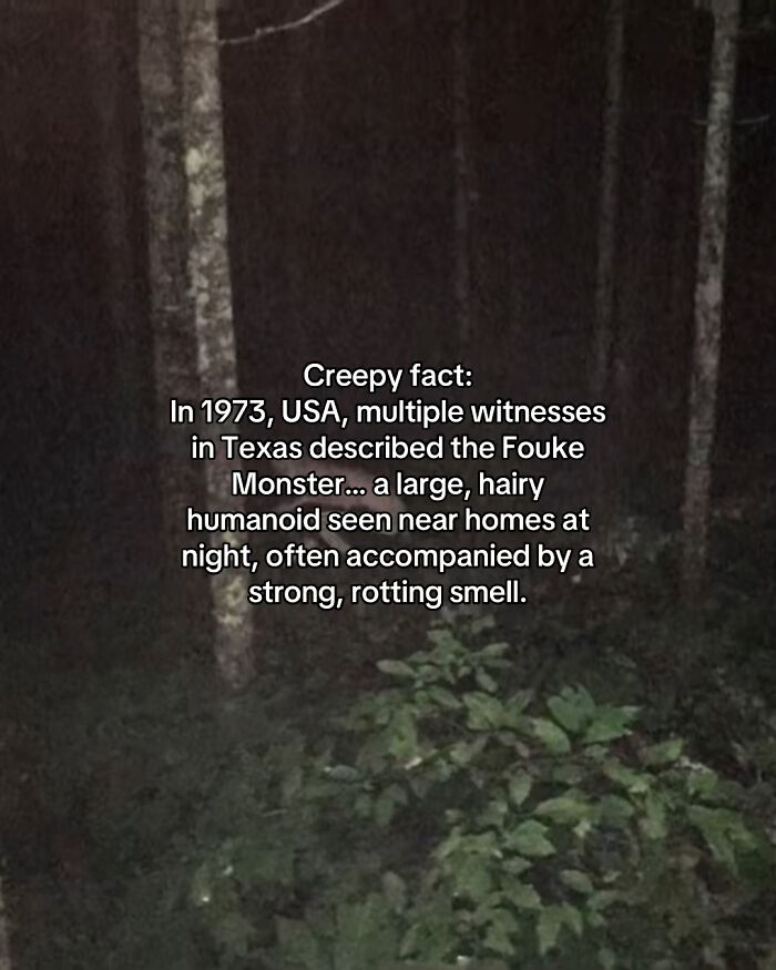 54 Scary Facts And Creepy Stories To See You Through Another Sleepless Night 54 Scary Facts And Creepy Stories To See You Through Another Sleepless Night