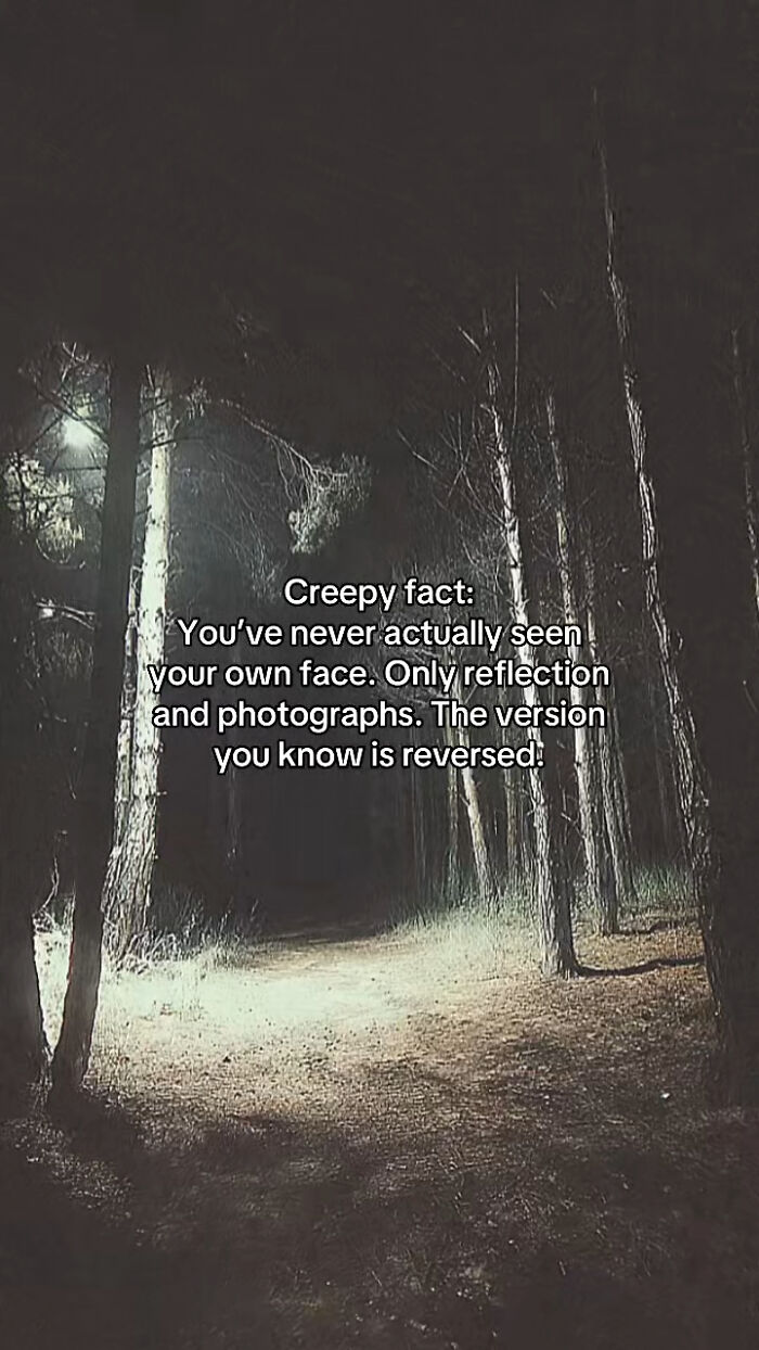 54 Scary Facts And Creepy Stories To See You Through Another Sleepless Night 54 Scary Facts And Creepy Stories To See You Through Another Sleepless Night