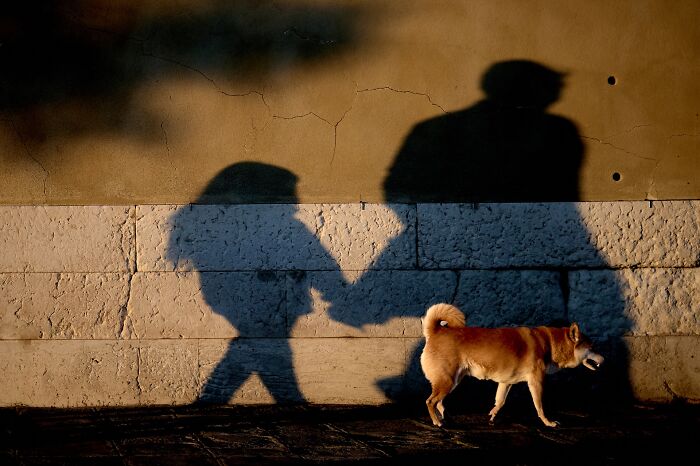 57 Photos From The Pure Street Photography Awards Capturing Life&rsquo;s Most Authentic Moments