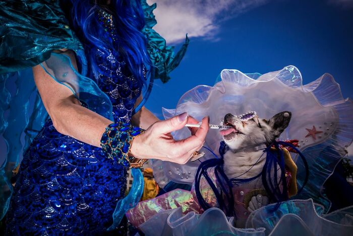 57 Photos From The Pure Street Photography Awards Capturing Life&rsquo;s Most Authentic Moments