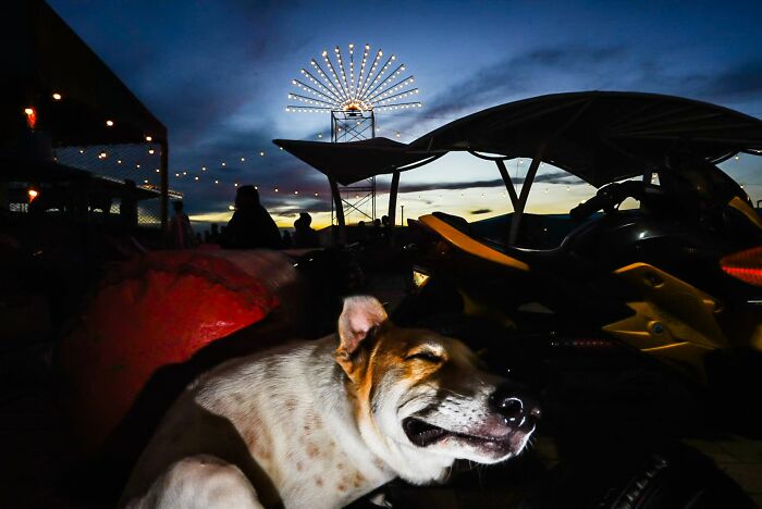 57 Photos From The Pure Street Photography Awards Capturing Life&rsquo;s Most Authentic Moments