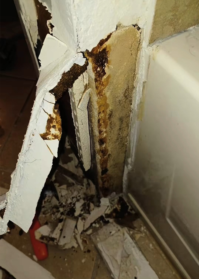Woman Moved In With Her Boyfriend And Everything Seemed Fine, Until Unexplained Symptoms Began Months Later Woman Moved In With Her Boyfriend And Everything Seemed Fine, Until Unexplained Symptoms Began Months Later