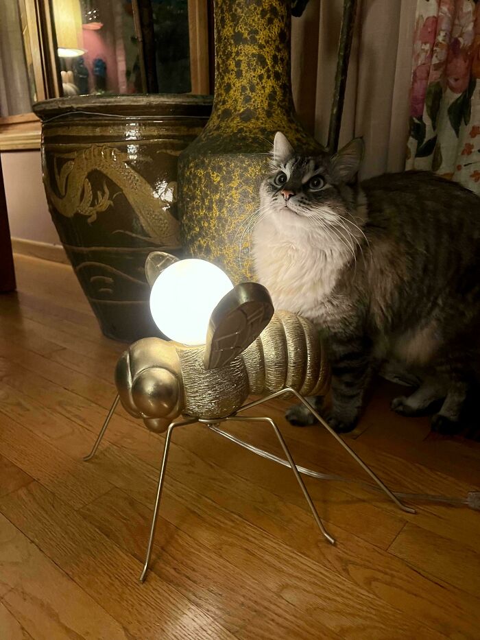 96 Times People Hit The Jackpot At The Thrift Store And It Was Too Good Not To Share (New Pics) 96 Times People Hit The Jackpot At The Thrift Store And It Was Too Good Not To Share (New Pics)