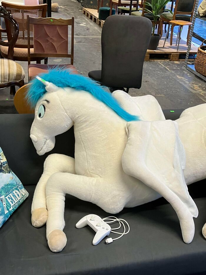 96 Times People Hit The Jackpot At The Thrift Store And It Was Too Good Not To Share (New Pics) 96 Times People Hit The Jackpot At The Thrift Store And It Was Too Good Not To Share (New Pics)