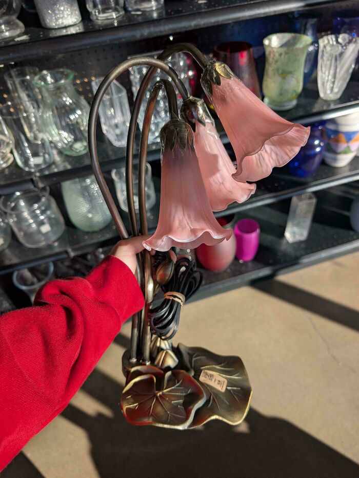 96 Times People Hit The Jackpot At The Thrift Store And It Was Too Good Not To Share (New Pics) 96 Times People Hit The Jackpot At The Thrift Store And It Was Too Good Not To Share (New Pics)
