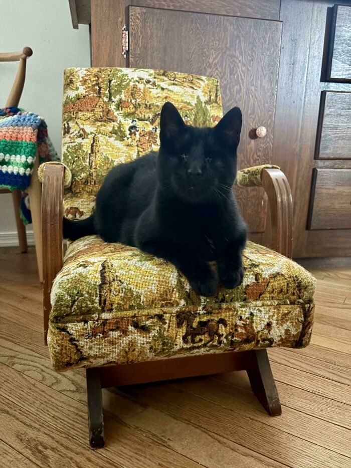 96 Times People Hit The Jackpot At The Thrift Store And It Was Too Good Not To Share (New Pics) 96 Times People Hit The Jackpot At The Thrift Store And It Was Too Good Not To Share (New Pics)