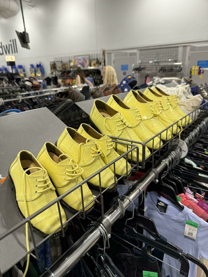 96 Times People Hit The Jackpot At The Thrift Store And It Was Too Good Not To Share (New Pics) 96 Times People Hit The Jackpot At The Thrift Store And It Was Too Good Not To Share (New Pics)