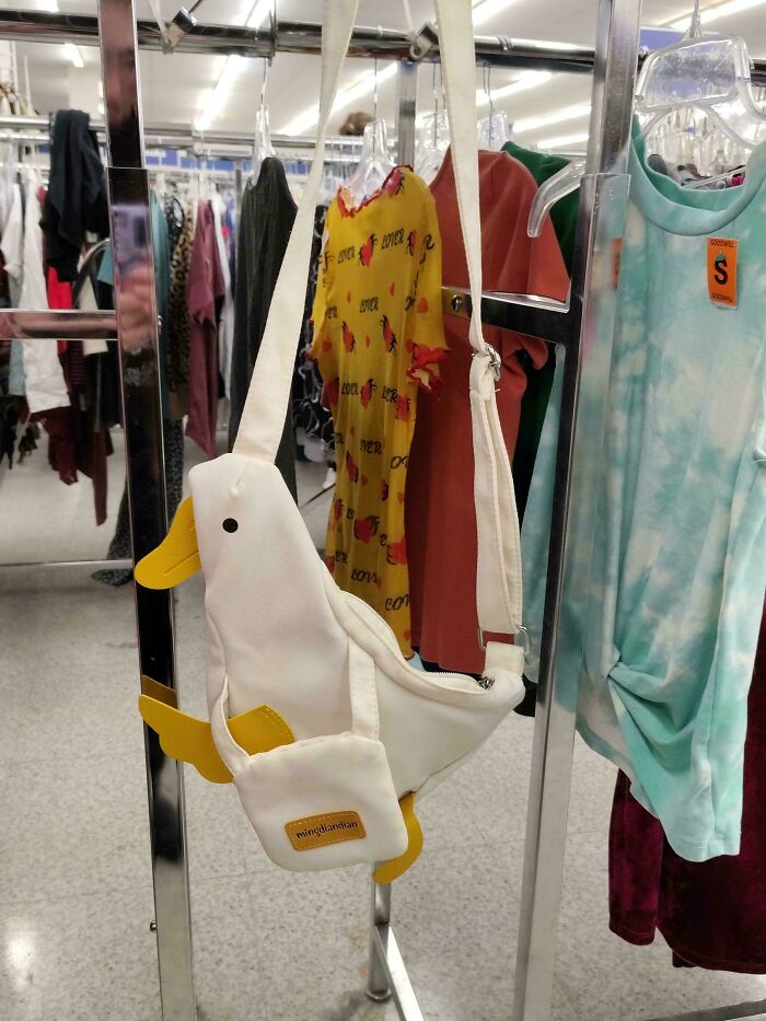 96 Times People Hit The Jackpot At The Thrift Store And It Was Too Good Not To Share (New Pics) 96 Times People Hit The Jackpot At The Thrift Store And It Was Too Good Not To Share (New Pics)