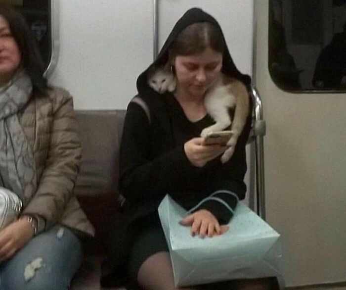 There Are Never Enough Photos Of Silly Animals So Here Are 83 Of Them