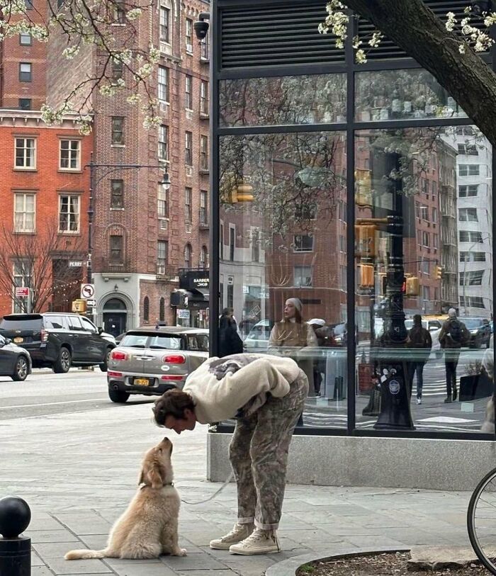 There Are Never Enough Photos Of Silly Animals So Here Are 83 Of Them