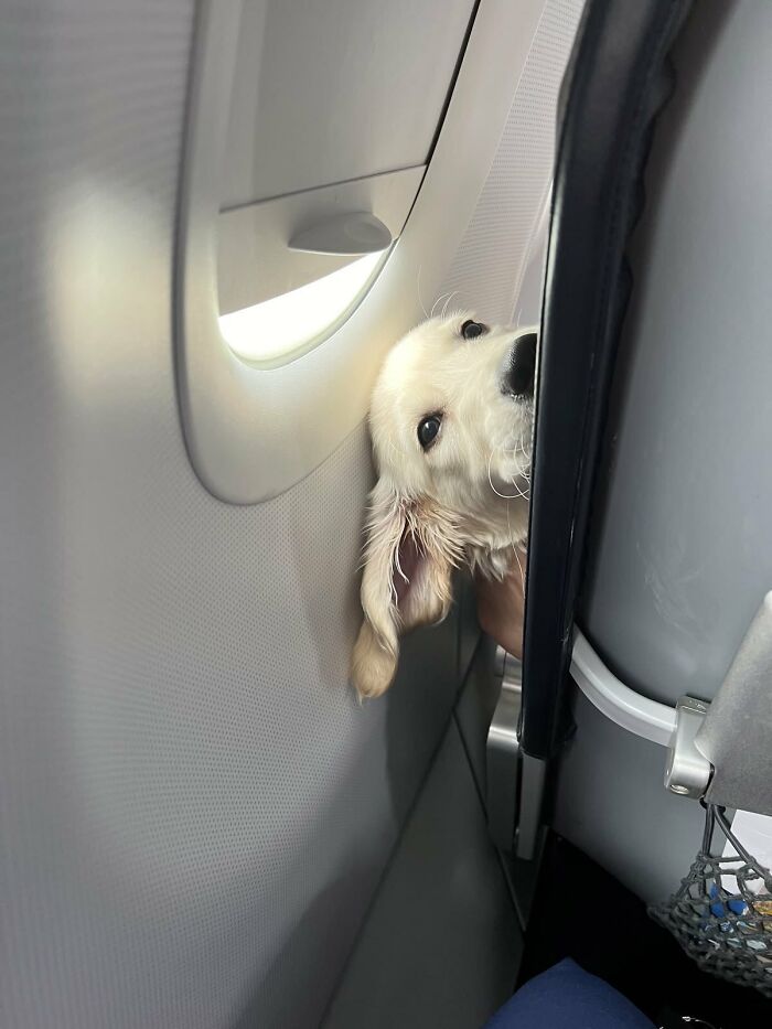 There Are Never Enough Photos Of Silly Animals So Here Are 83 Of Them
