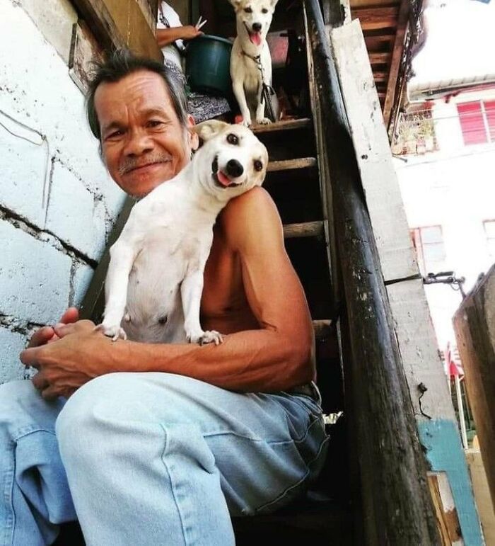 There Are Never Enough Photos Of Silly Animals So Here Are 83 Of Them