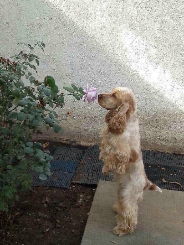 There Are Never Enough Photos Of Silly Animals So Here Are 83 Of Them