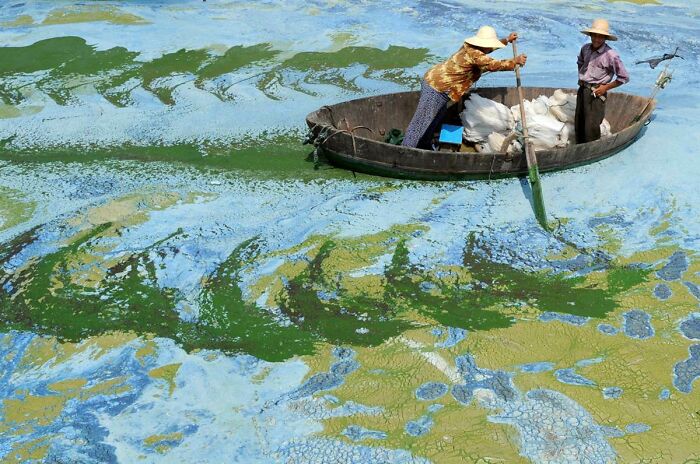 86 Real Photos That Make Your Brain Question If They Were Edited