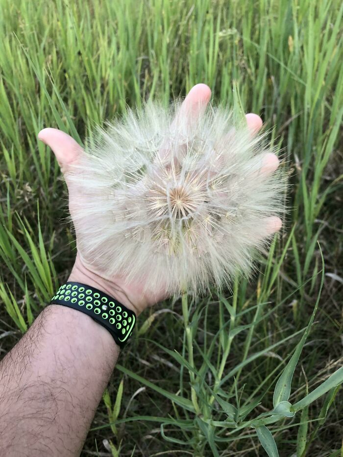 86 Real Photos That Make Your Brain Question If They Were Edited
