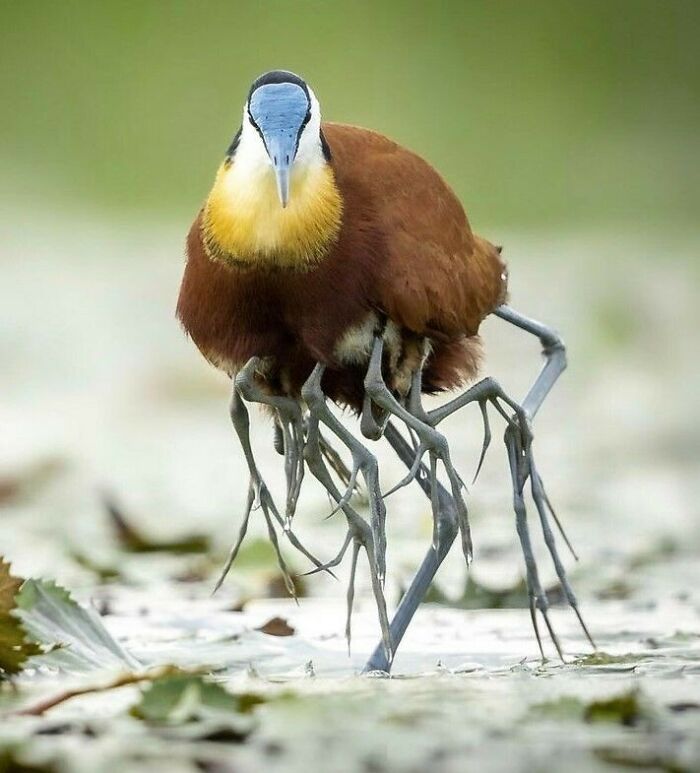 86 Real Photos That Make Your Brain Question If They Were Edited