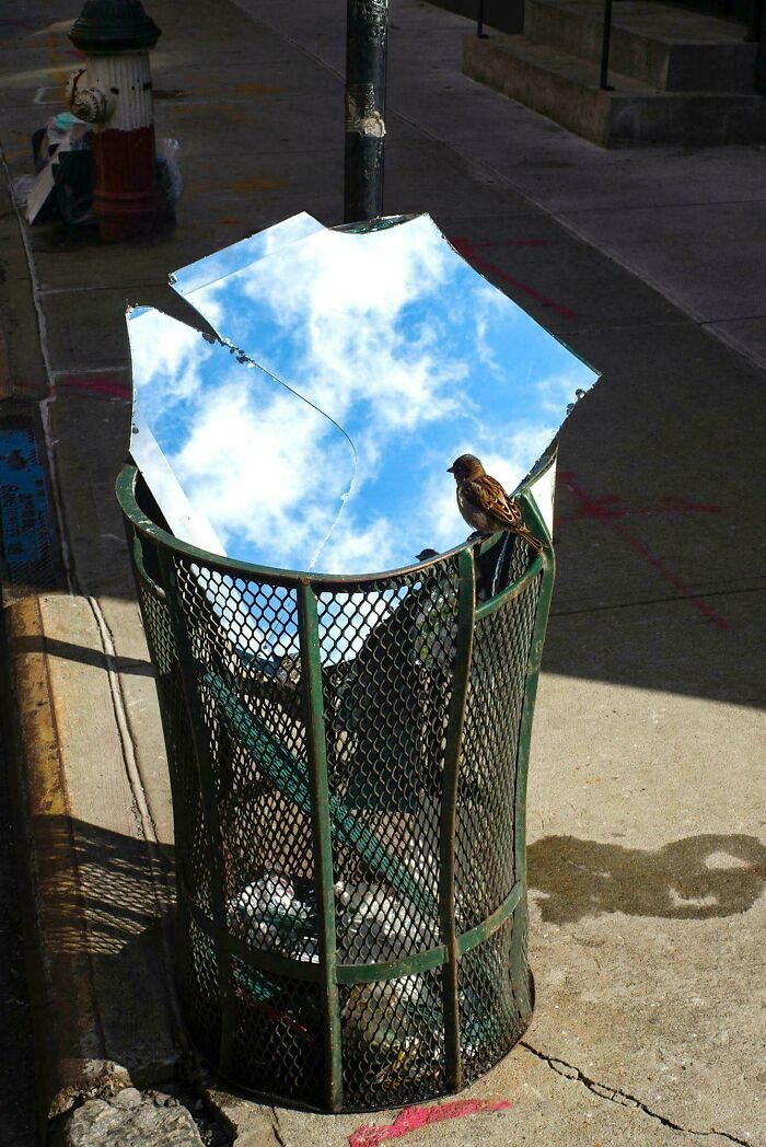 86 Real Photos That Make Your Brain Question If They Were Edited