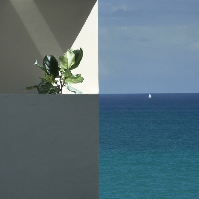 86 Real Photos That Make Your Brain Question If They Were Edited