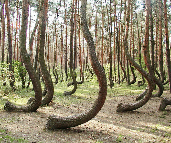 86 Real Photos That Make Your Brain Question If They Were Edited