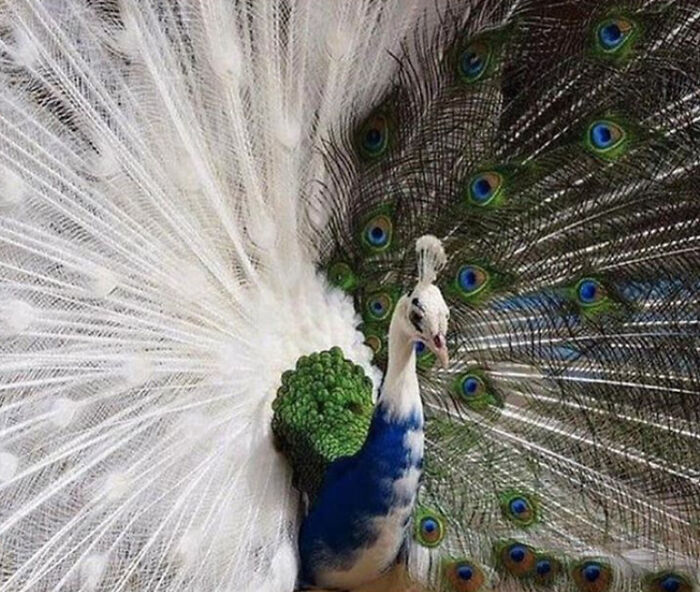 86 Real Photos That Make Your Brain Question If They Were Edited