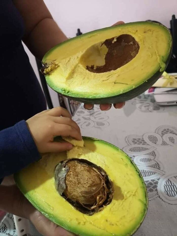 86 Real Photos That Make Your Brain Question If They Were Edited