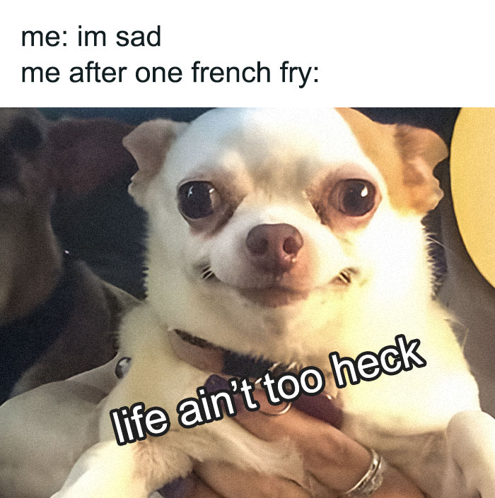 If You Have A Neurodivergent Brain, You Might Find These 66 Memes Hilariously Relatable (New Pics) If You Have A Neurodivergent Brain, You Might Find These 66 Memes Hilariously Relatable (New Pics)