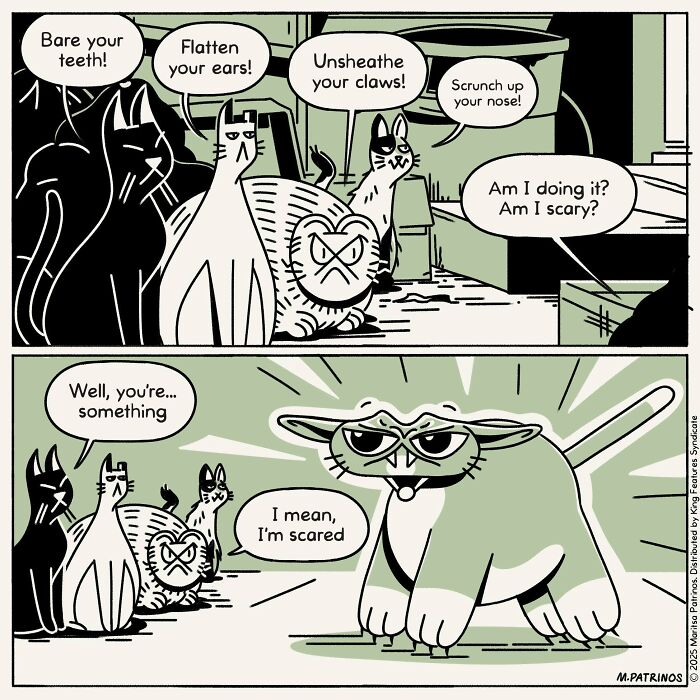 This Cartoonist Imagines What Cats Would Be Like If They Had Jobs, Coworkers, And Responsibilities (60 Pics) This Cartoonist Imagines What Cats Would Be Like If They Had Jobs, Coworkers, And Responsibilities (60 Pics)
