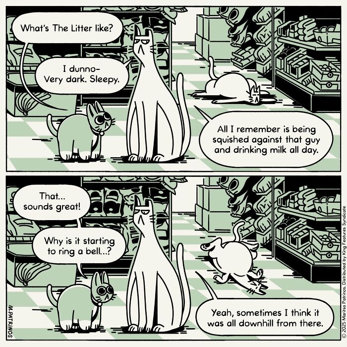 This Cartoonist Imagines What Cats Would Be Like If They Had Jobs, Coworkers, And Responsibilities (60 Pics) This Cartoonist Imagines What Cats Would Be Like If They Had Jobs, Coworkers, And Responsibilities (60 Pics)