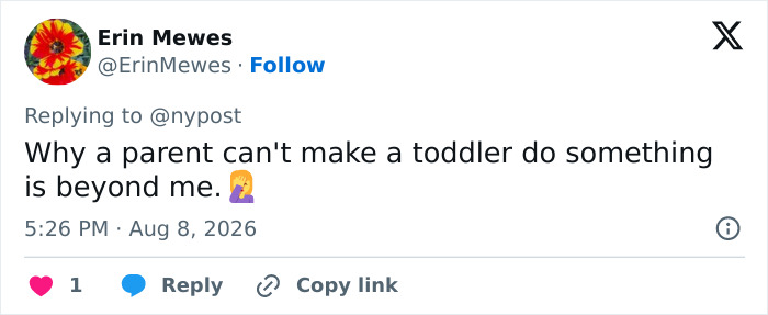 Unruly Toddler Gets Entire Flight Canceled And Strands All Passengers Overnight Just For Refusing To Fasten Their Seatbelt
