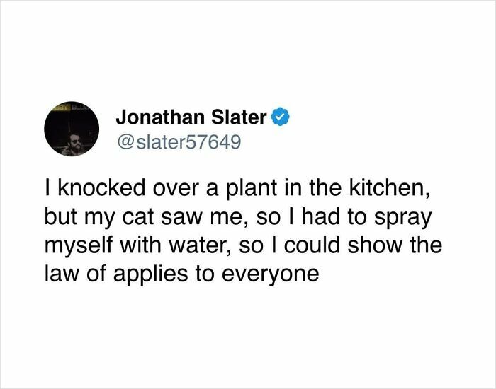 89 Times People Dropped Surprisingly Honest Posts That Nobody Asked For But Everyone Needed 89 Times People Dropped Surprisingly Honest Posts That Nobody Asked For But Everyone Needed